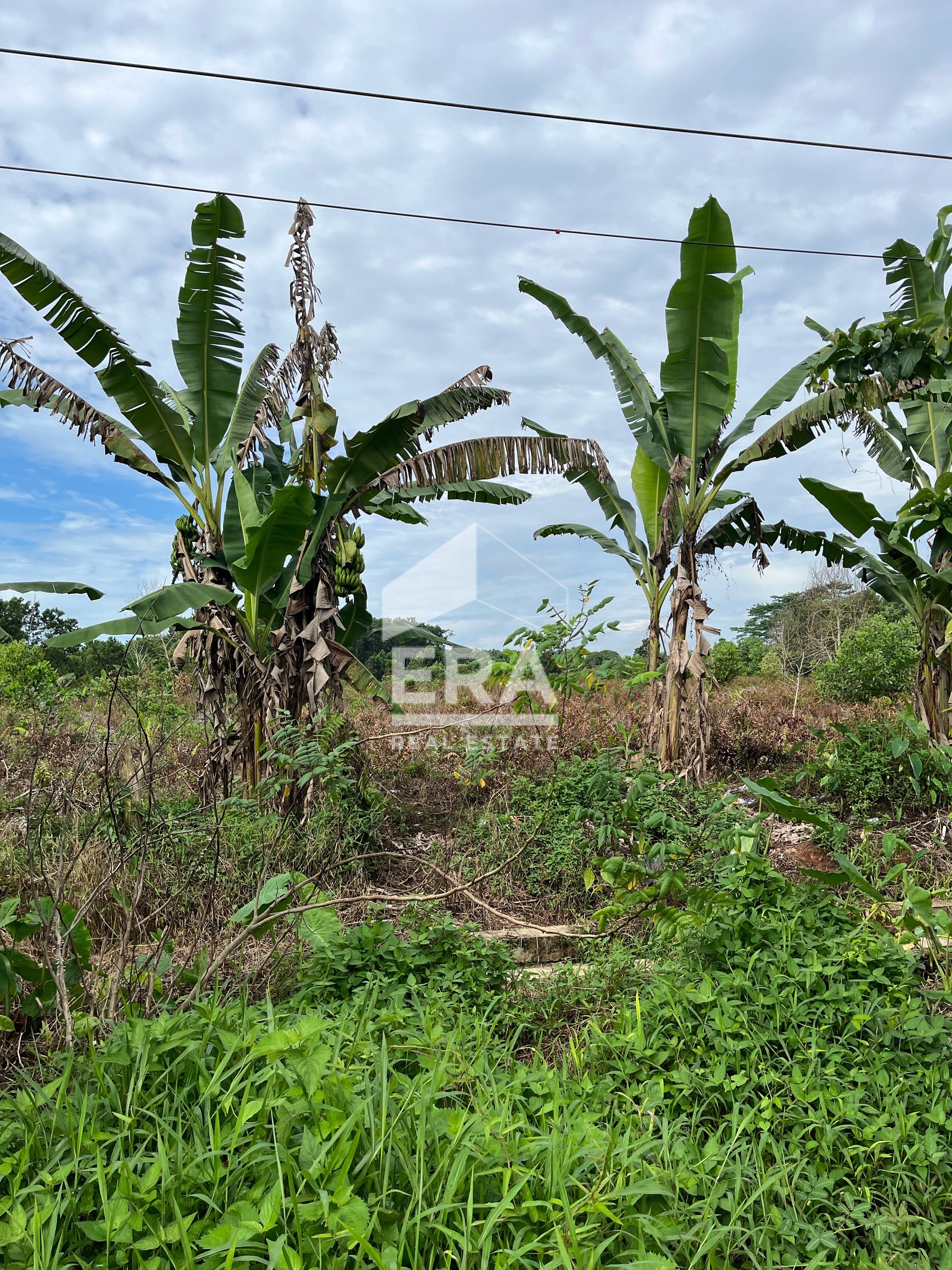 TANAH - PONTIANAK TENGGARA