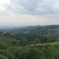 TANAH - DAGO
