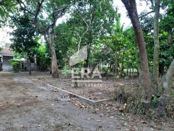 TANAH - PRAMBANAN