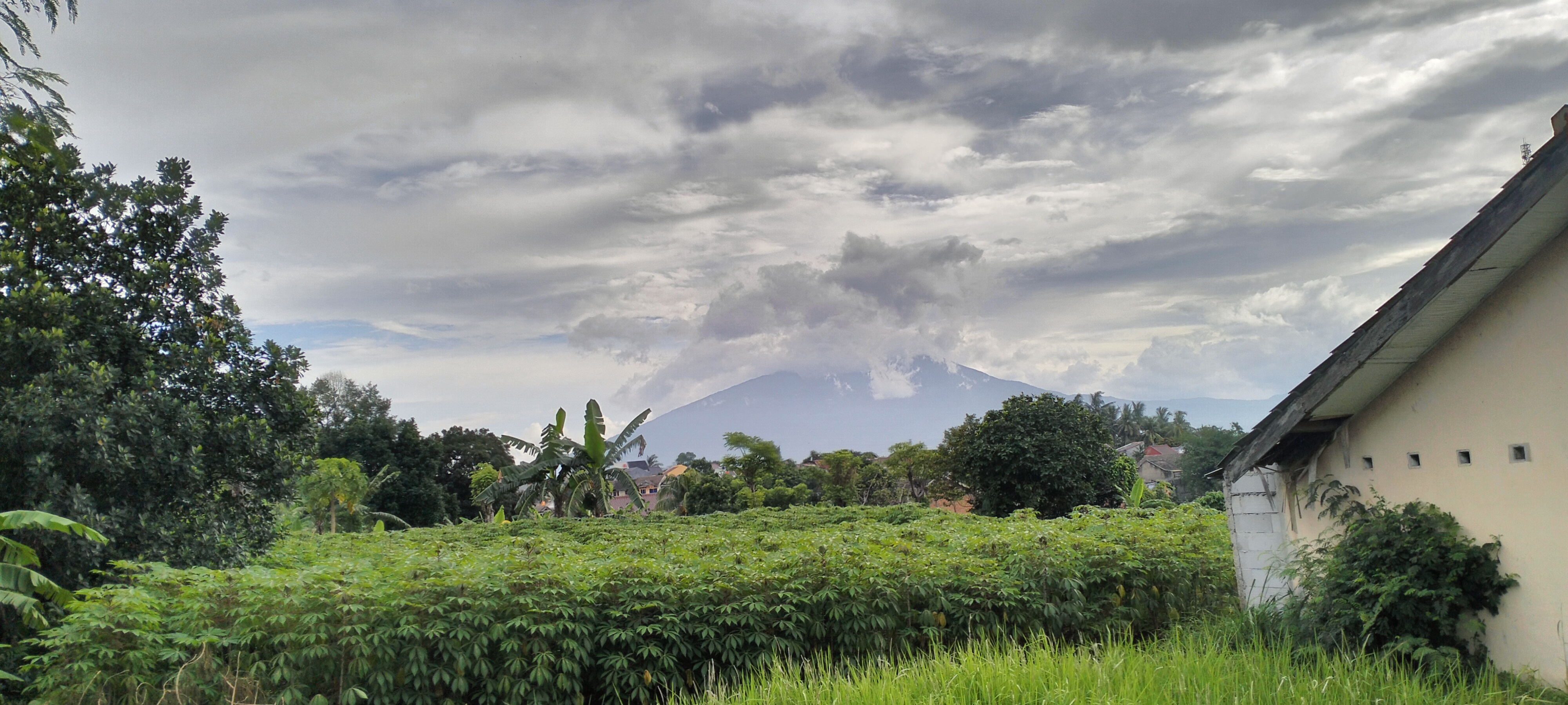 TANAH - TANAH SAREAL